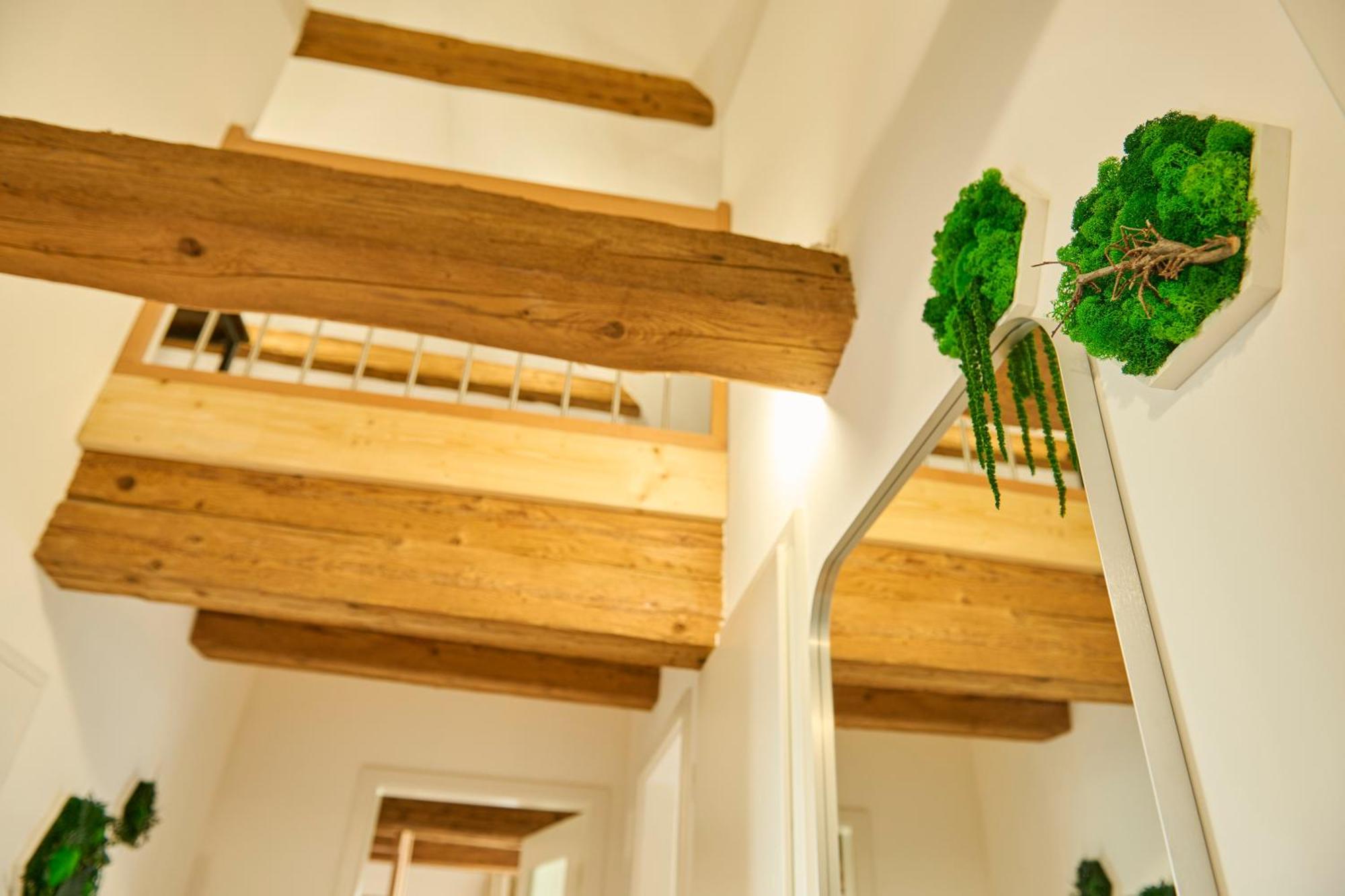 Wood World Luxury - Massage - Bergblick - Tranpolin- Parken Appartement Markdorf Buitenkant foto