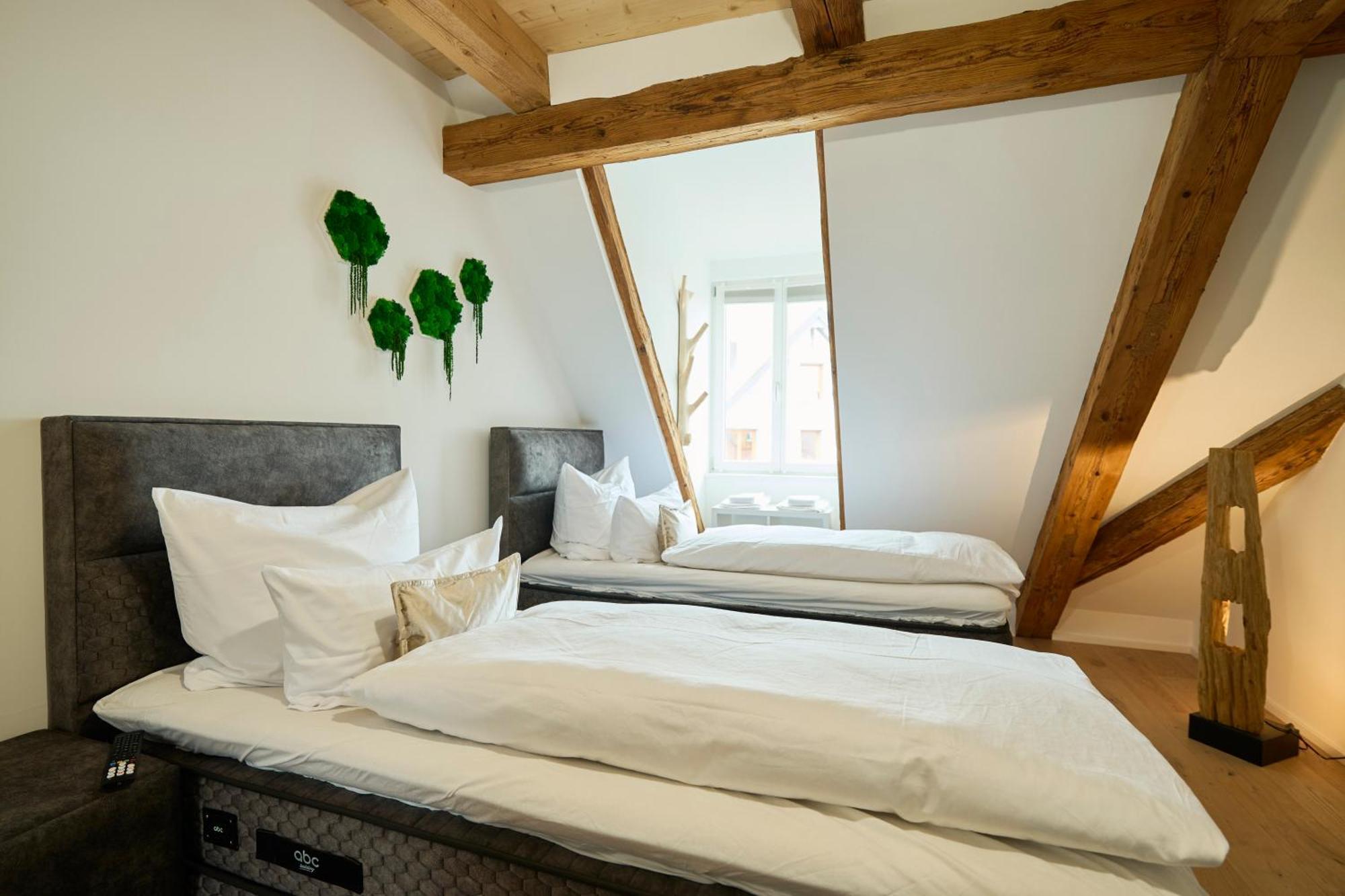 Wood World Luxury - Massage - Bergblick - Tranpolin- Parken Appartement Markdorf Buitenkant foto