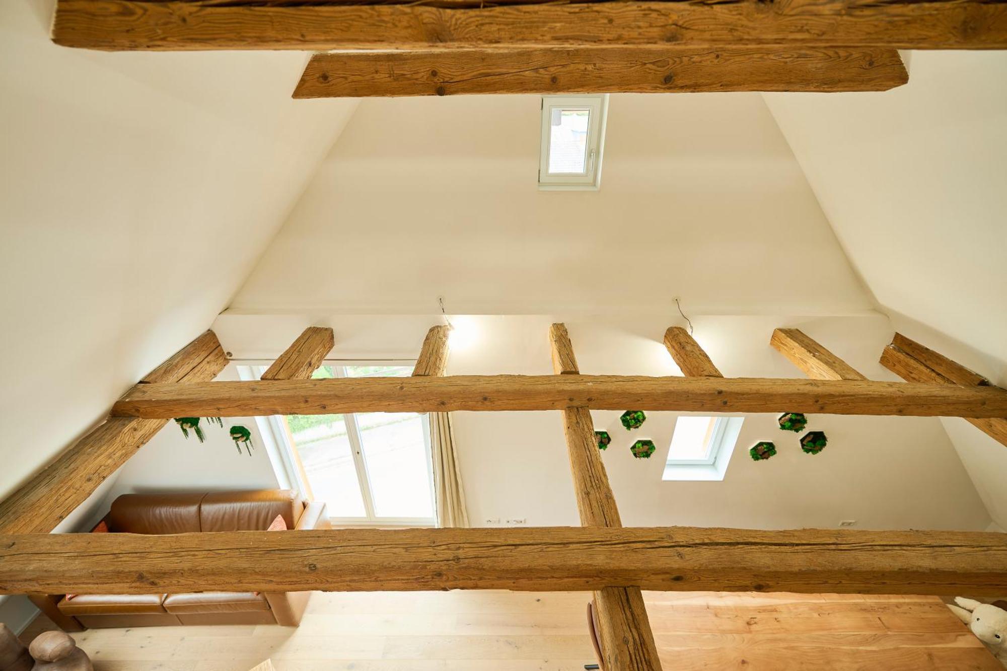 Wood World Luxury - Massage - Bergblick - Tranpolin- Parken Appartement Markdorf Buitenkant foto