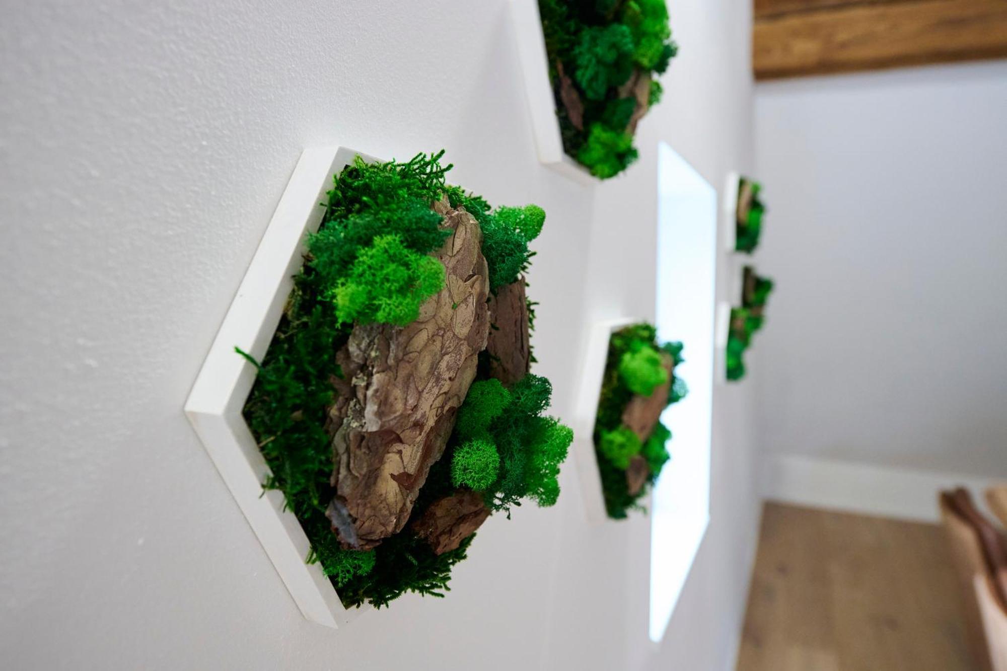 Wood World Luxury - Massage - Bergblick - Tranpolin- Parken Appartement Markdorf Buitenkant foto